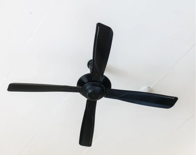 Light and fan fitting